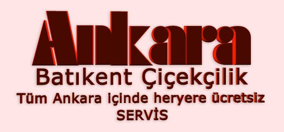 Ankara batıkent çiçek siparişi