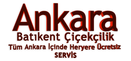 Ankara �i�ek G�nder