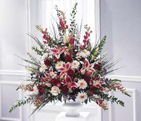 Macunk�y sevgilime hediye �i�ek  kazablanka sebboy gerbera