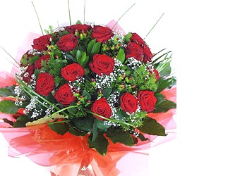 Ergazi Mahallesi �i�ek g�nderme sitemiz g�venlidir  10 adet kirmizi g�l buket tanzim