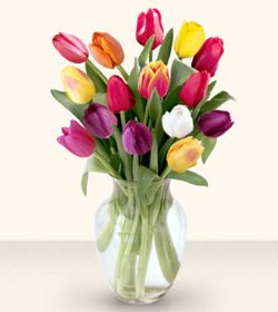 �ak�rlar �i�ek yolla , �i�ek g�nder  13 adet cam yada mika vazoda laleler