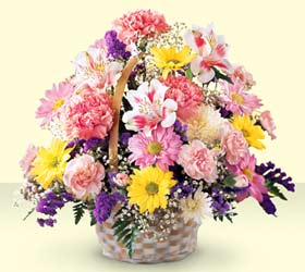 �aml�ca mahallesi �i�ek ma�azas�  sepet i�erisinde g�l ve mevsim