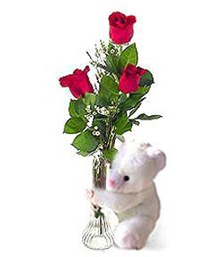 oyuncak ve 3 adet g�l Bat�kent yurti�i �i�ek sipari�i 