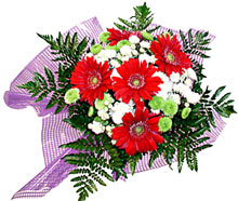 karisik gerbera ve kir �i�egi  Macunk�y sevgilime hediye �i�ek 