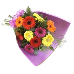 karisik gerbera buketi  Bat�kent �i�ek servisi , �i�ek�i adresleri 