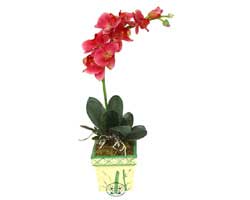 Yapay Phalonepsis Pembe  Bat�kent �i�ek sipari�i sitesi 