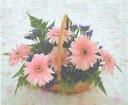 gerbera �i�eklerinde sepet  Bat�kent �i�ek g�nderme 