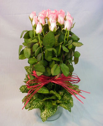 13 adet pembe g�l silindirde  Bat�kent �i�ek g�nderme 