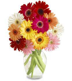 �aml�ca mahallesi �i�ek ma�azas�  cam vazo i�erisinde karisik gerbera �i�ekleri