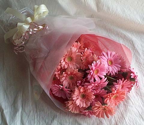 17 adet gerbera buketi Ergazi Mahallesi �i�ek g�nderme sitemiz g�venlidir 