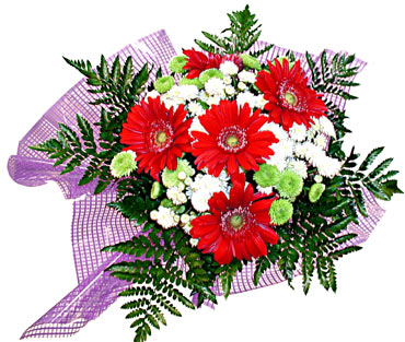 gerbera ve krizantem demeti Demetevler �i�ek sipari�i 
