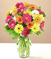 Bat� sitesi mahallesi ucuz �i�ek g�nder  17 adet karisik gerbera