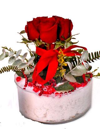 Bat� sitesi mahallesi ucuz �i�ek g�nder  SEVMEK G�ZEL DIYENLERE 7 ADET G�L