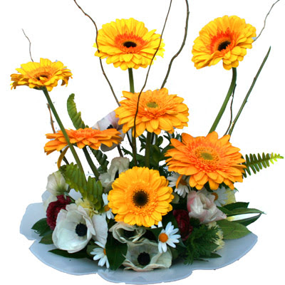 camda gerbera ve mis kokulu kir �i�ekleri Macunk�y sevgilime hediye �i�ek 