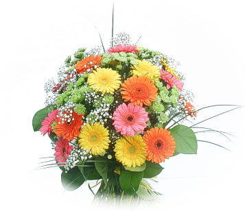 13 adet gerbera �i�egi buketi Kardelen mahallesi �i�ek g�nderme 