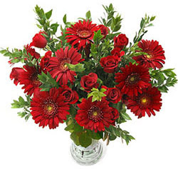 5 adet kirmizi g�l 5 adet gerbera aranjmani Urankent g�n� �i�ek yolla 