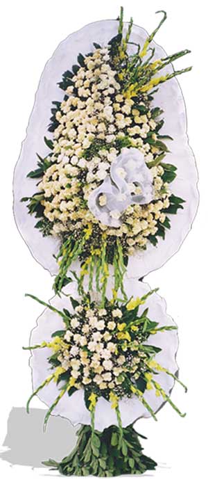 D�g�n nikah a�ilis �i�ekleri sepet modeli Bat�kent �nternetten �i�ek sipari�i 