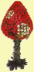 Ostim mahallesi internetten �i�ek sat���  d�g�n a�ilis �i�ekleri Bat� sitesi mahallesi ucuz �i�ek g�nder 