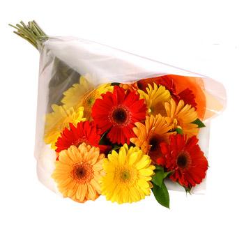 Karisik renklerde gerbera buketi Kentkoop mahallesi �i�ek yolla 
