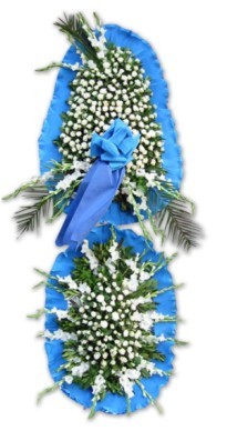 Kardelen mahallesi �i�ek g�nderme  d�g�n a�ilis �i�ekleri �vedik g�venli kaliteli h�zl� �i�ek 
