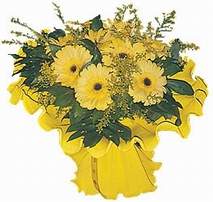 Demetevler �i�ek sipari�i  9 adet sari g�zel gerbera