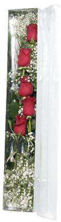 Bat�kent yurti�i �i�ek sipari�i   5 adet g�lden kutu g�ller
