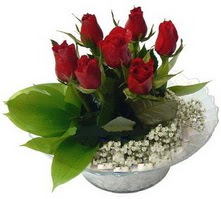 kaliteli taze ve ucuz �i�ekler  cam yada mika i�erisinde 5 adet kirmizi g�l