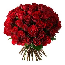 Eryaman mahallesi �i�ek�iler  33 adet k�rm�z� g�l buketi