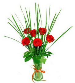 Eryaman mahallesi �i�ek�iler  6 adet k�rm�z� g�llerden vazo �i�e�i
