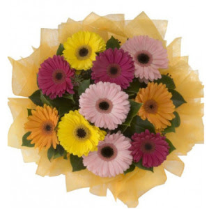 Etimesgut cicekciler , cicek siparisi  11 adet kar���k gerbera �i�e�i buketi