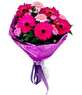 Bat�kent yurti�i �i�ek sipari�i  kar���k gerbera �i�e�i buketi