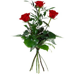 �aml�ca mahallesi �i�ek ma�azas�  3 adet k�rm�z� g�lden buket