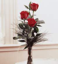kaliteli taze ve ucuz �i�ekler  Vazoda 3 adet g�zel g�l