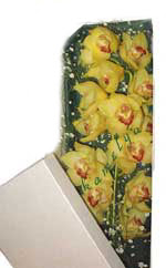 Ostim mahallesi internetten �i�ek sat���  Kutu i�erisine dal cymbidium orkide