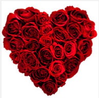 �aml�ca mahallesi �i�ek ma�azas�  19 adet k�rm�z� g�lden kalp tanzimi
