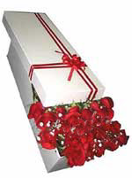 Macunk�y sevgilime hediye �i�ek  11 adet 1.kalite magnum g�ller