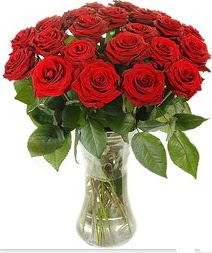 me�rutiyet �i�ek�i ma�azas�  Vazoda 15 adet k�rm�z� g�l tanzimi