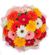 15 adet renkli gerbera buketi U�ur mumcu mahallesi �i�ek sat��� 