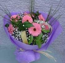 Bat�kent �nternetten �i�ek sipari�i  9 adet gerbera g�zel �i�egi