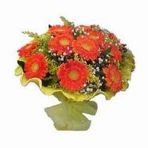 Bat�kent �i�ek g�nderme  11 adet se�me gerbera �i�egi