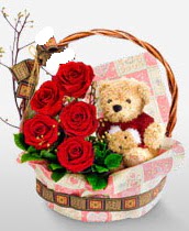 sepet i�erisinde 5 adet g�l ve 15 cm ay�c�k Fatih �i�ek sipari�i vermek 
