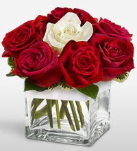 Tek a�k�ms�n �i�e�i 8 k�rm�z� 1 beyaz g�l �aml�ca mahallesi �i�ek ma�azas� 