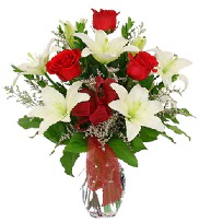 5 adet k�rm�z� g�l ve 1 dal kazablanka Bat�kent yurti�i �i�ek sipari�i 