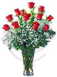 vazo i�erisinde 12 adet k�rm�z� g�l �aml�ca mahallesi �i�ek ma�azas� 