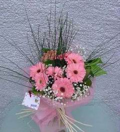 Urankent g�n� �i�ek yolla  Pembe gerbera mevsim �i�ekleri