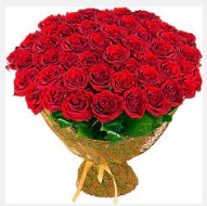 51 adet g�l 1 g�nl���ne indirimde Macunk�y sevgilime hediye �i�ek  