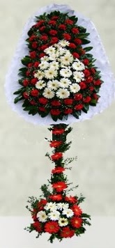 kaliteli taze ve ucuz �i�ekler  �ift katl� d���n a��l�� �i�e�i