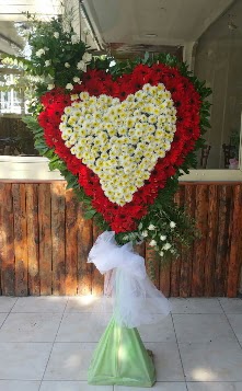 D���n Nikah pano �zel tanzimi kaliteli taze ve ucuz �i�ekler 