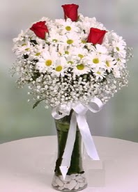 Cam i�inde papatyalar 3 adet k�rm�z� g�l Yeni bat� mahallesi , �i�ek�i , �i�ek�ilik 
