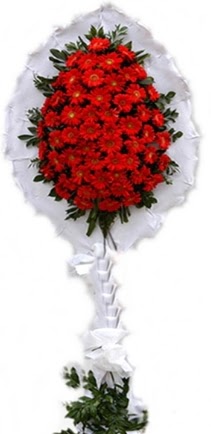 Tekli D���n nikah ��yeri a��l�� �i�e�i Bat�kent �nternetten �i�ek sipari�i 